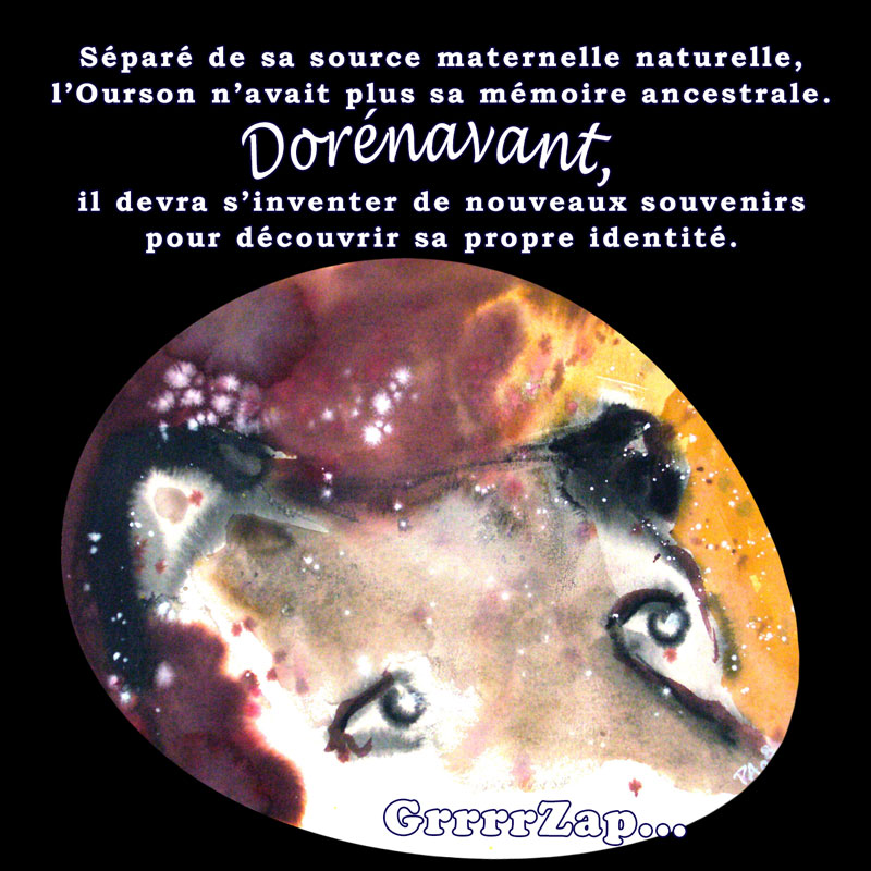 Carousel 1 (copy) (copy) (copy) (copy) (copy) (copy)